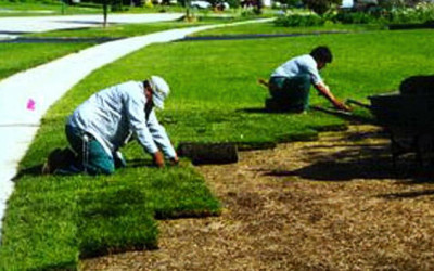 Commercial and Residential Lawn Maintenance Company For Sale