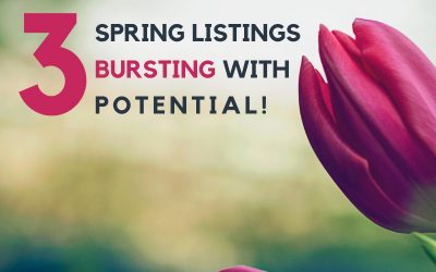 3 Spring Listings Bursting with Potential!