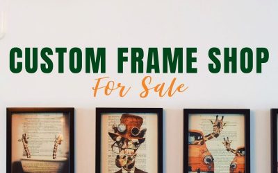 Jacksonville Custom Frame Shop for Sale Exceeds Expectations!